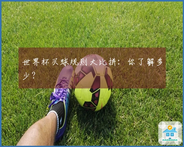 世界杯买球规则大比拼：你了解多少？