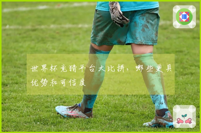 世界杯竞猜平台大比拼，哪些更具优势和可信度